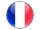 professional translator - french