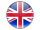 professional translator - english